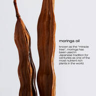 shu uemura art of hair urban moisture hydro-nourishing conditioner ingredients