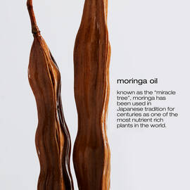 urban moisture travel haircare set