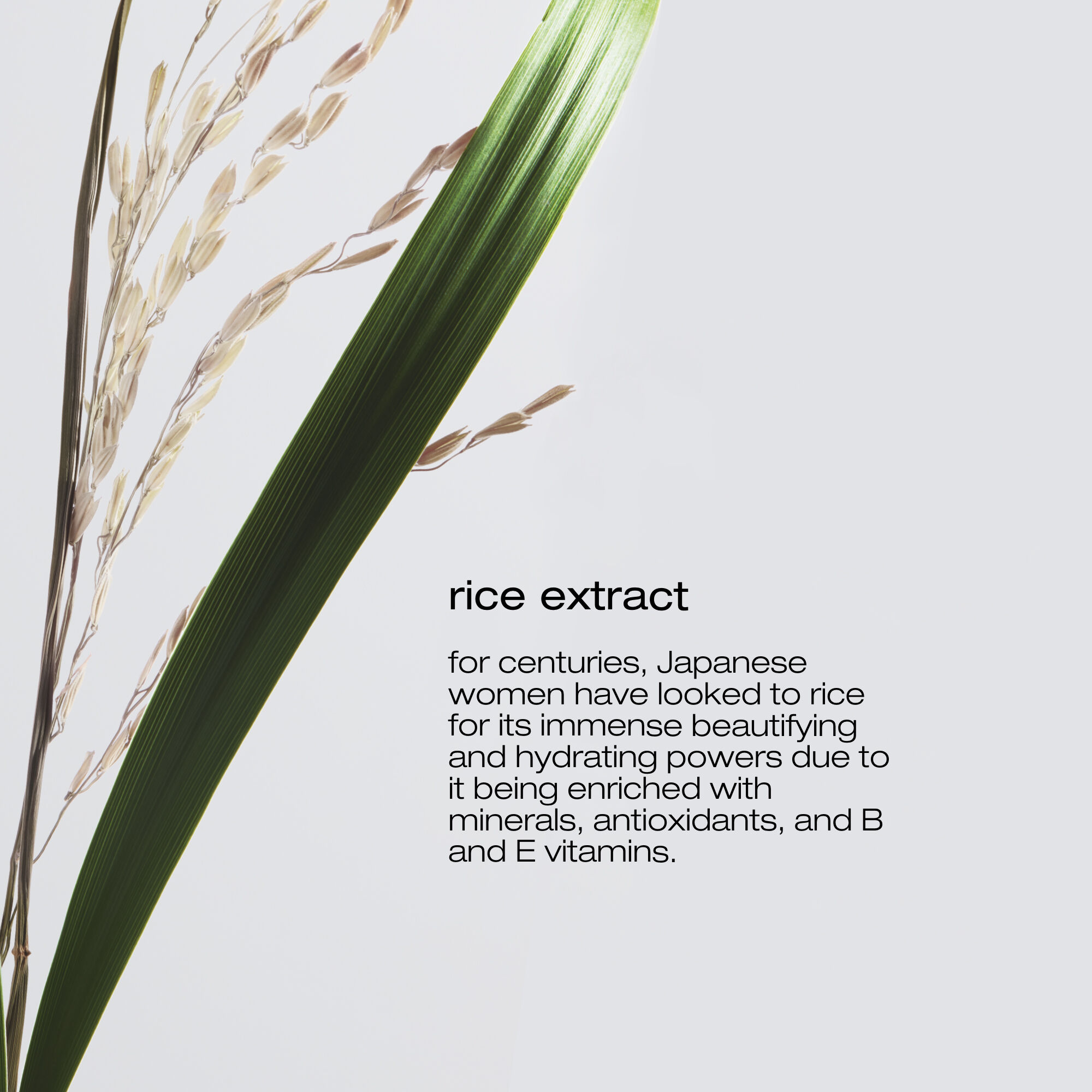 shu uemura art of hair clarifying bundle for damaged hair ingredient
