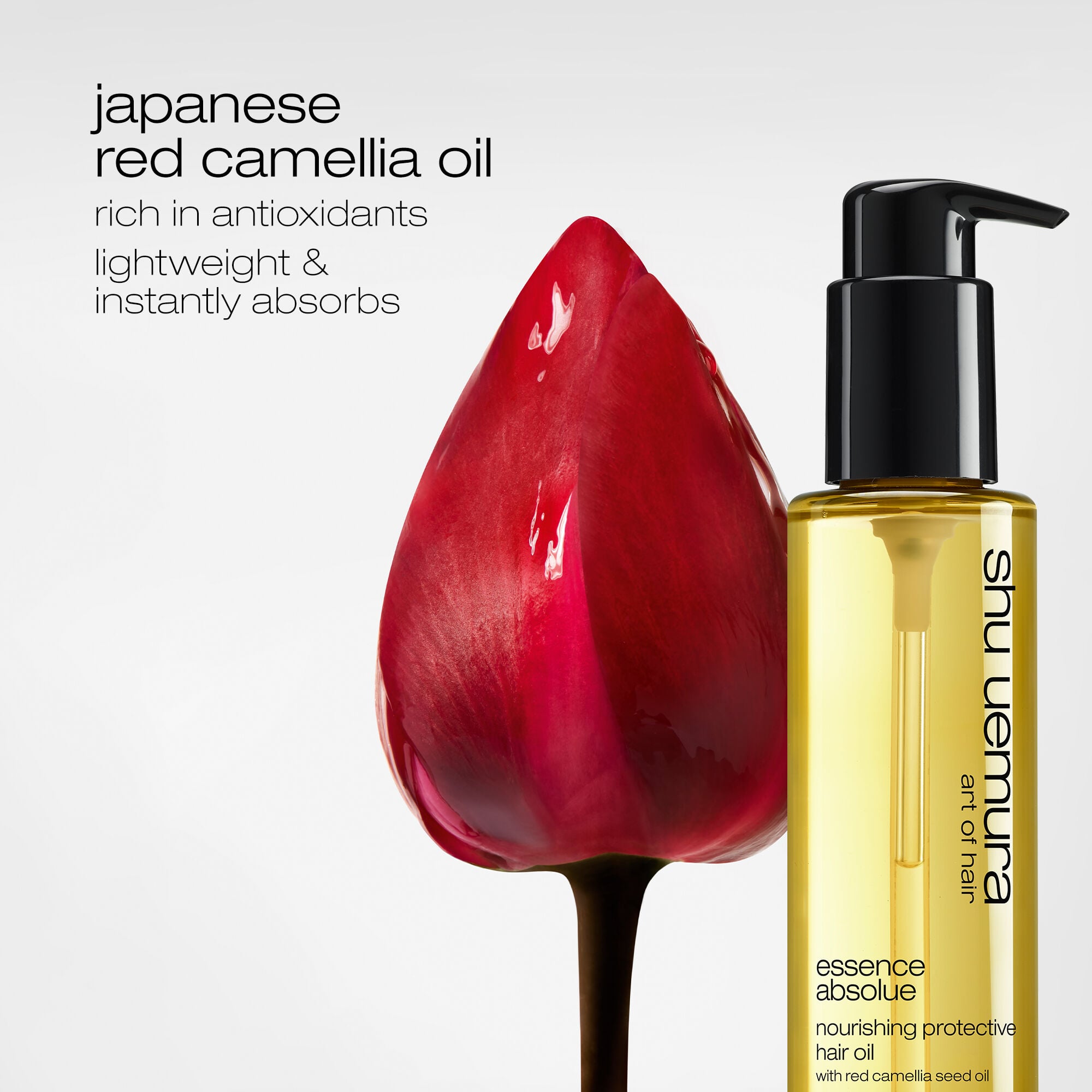 Active ingredient: japanese red camelia oil