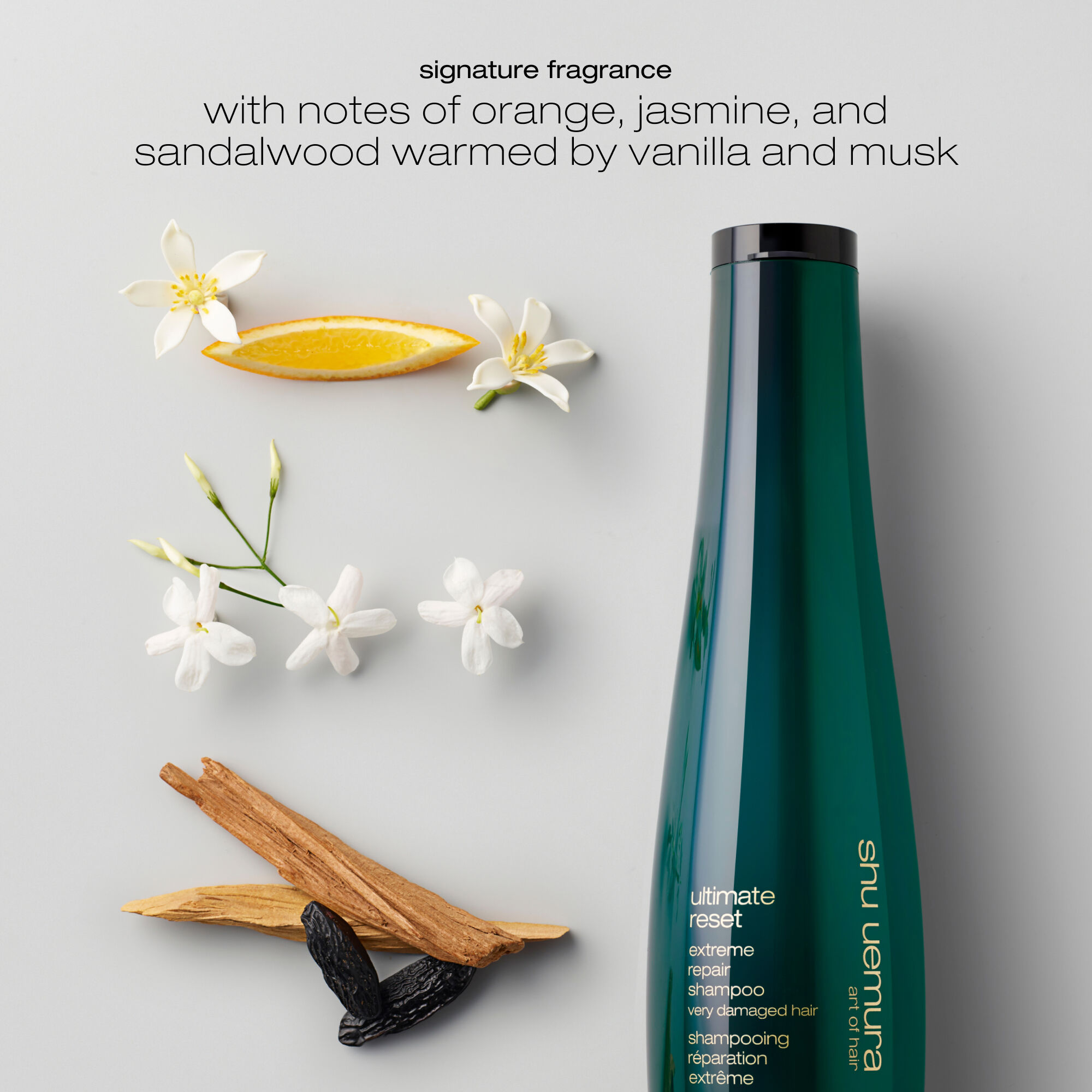 リップケア ENVIORN* Aesop *SHISEIDO *shu uemura delicate comfort clarifying shampoo | Shu Uemura Art of Hair