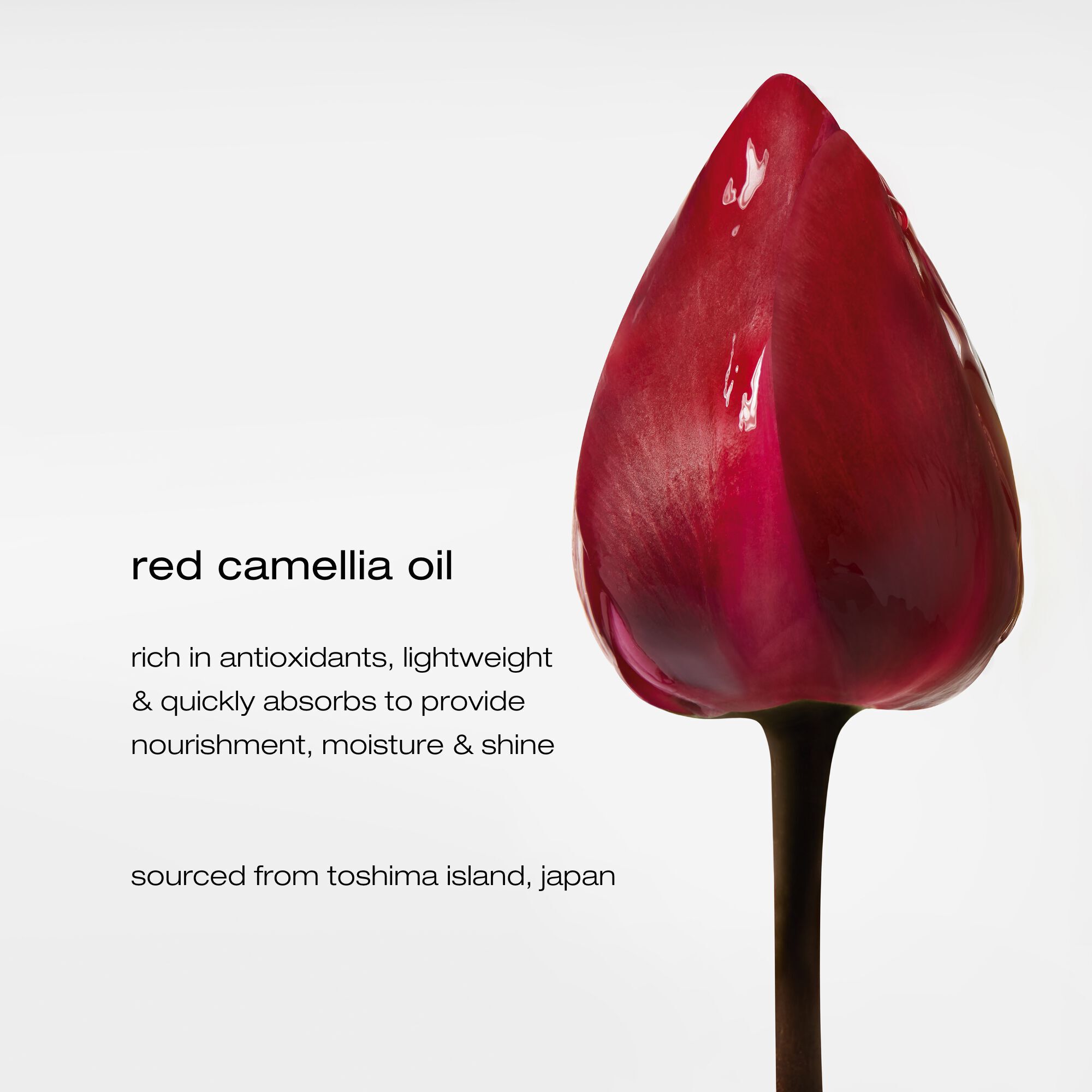 shu uemura art of hair silk bloom hair set ingredients