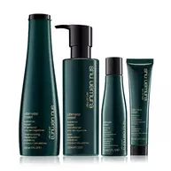ultimate reset home & travel haircare set