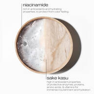 color lustre color protecting conditioner