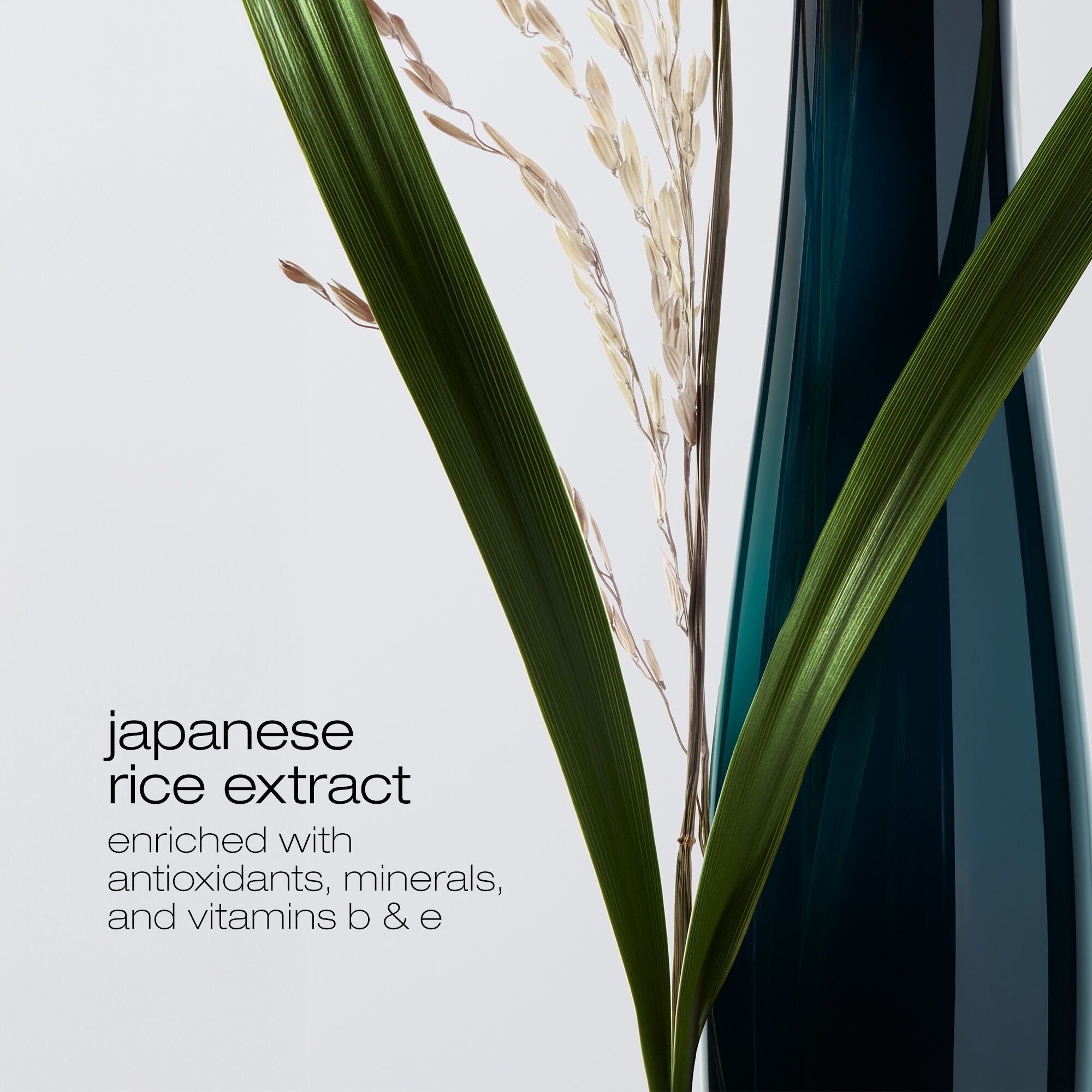 ultimate reset haircare travel trio