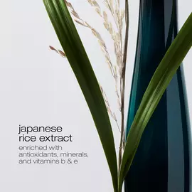 ultimate reset extreme repair shampoo