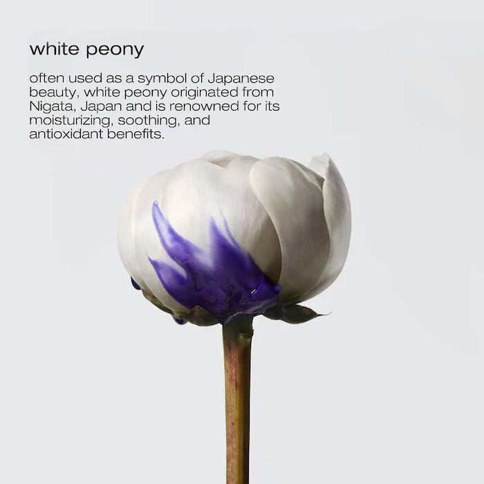 shu uemura yubi blonde glow revealing shampoo ingredients