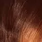 shu uemura art of hair how to care for and avoid frizzy hair