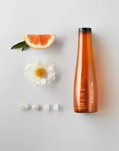 shu uemura art of hair urban moisture shampoo for dry hair