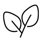 Minimalist icon of two leaves.