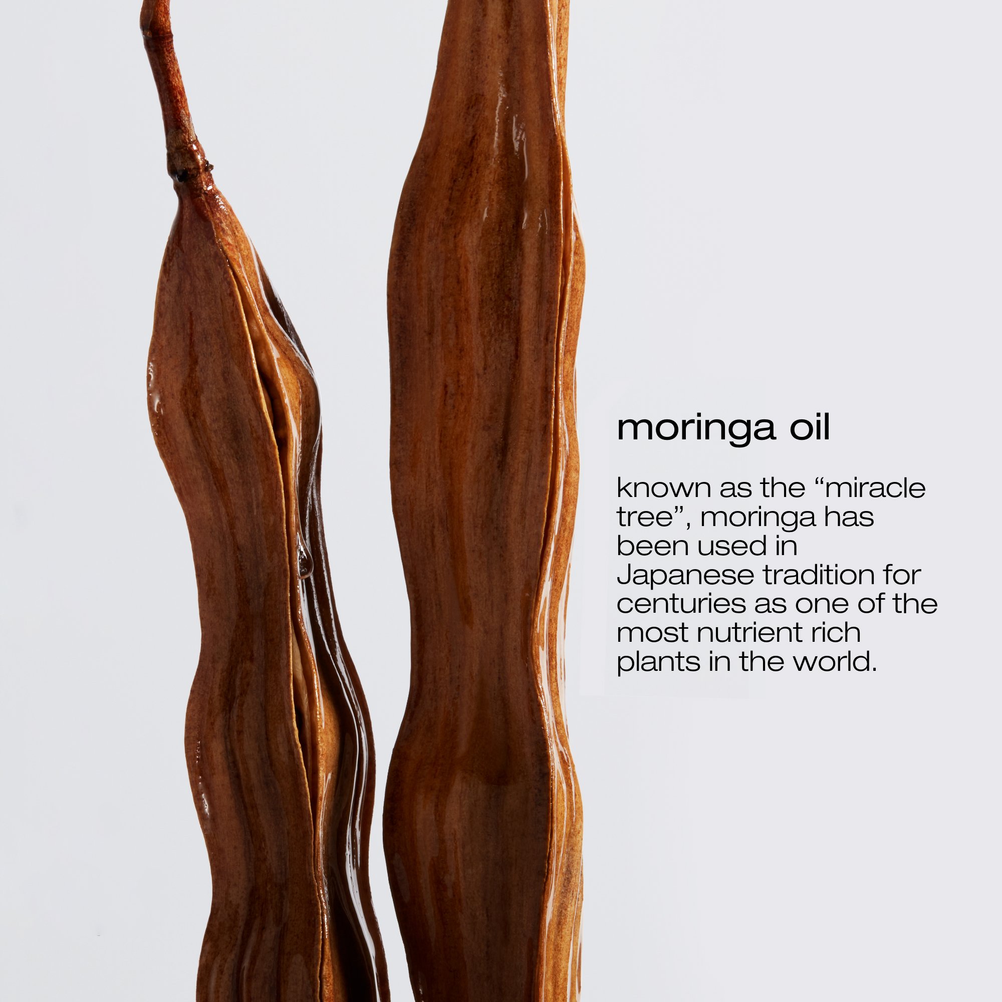 Urban Moisture Gift Set for Dry Hair | Shu Uemura Art of Hair