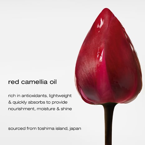 Camellia Oil