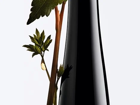 shu uemura ashita supreme hair care collection with ashitaba plant ingredient for hair